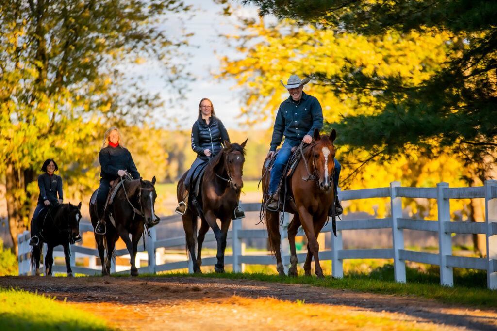 Natural Horseman Training and Lessons