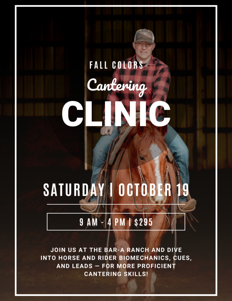 1-Day Fall Colors Cantering Clinic - The Natural Horseman